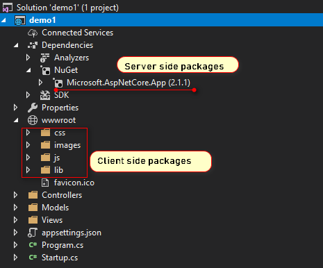 Figure 1server side packages / client side packages