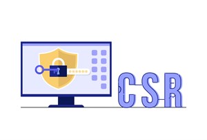 تولید فایل CSR برای گواهی SSL از طریق پلسک