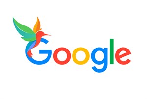 الگوریتم مرغ مگس خوار گوگل چگونه کار می‌کند؟