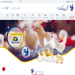 طراحی سایت شرکت مرغک