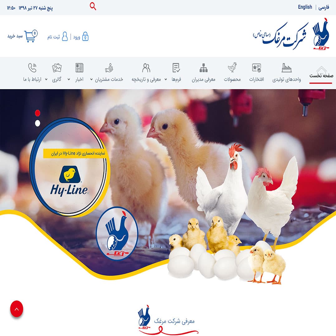 طراحی سایت شرکت مرغک